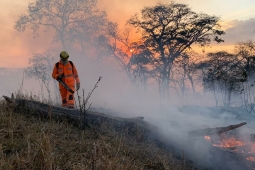 CBMMG lança Plano Integrado de Preparação e Respostas aos Incêndios Rurais
