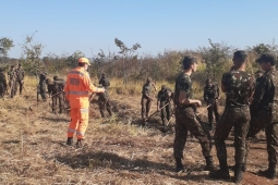 Bombeiros realizam ações para reduzir os riscos de incêndios florestais