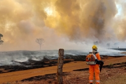 CBMMG aposta nas ações do Plano Integrado para conter avanço dos incêndios no estado