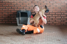 8°BBM realiza treinamento do curso de preparação de filhotes