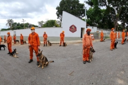 CBMMG realiza a primeira certificação de cães da corporação