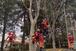 6º COB treina vistoria e corte de árvores, visando período chuvoso