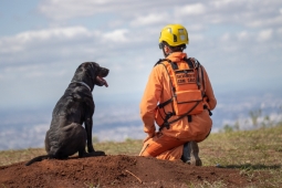 BOA e Bemad comemoram aniversário com apresentações institucionais