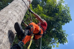 Bombeiros aprimoram técnicas de ascensão em árvores