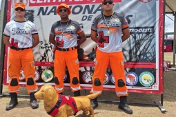 CBMMG participa do curso de formação de árbitros de certificação nacional de cães