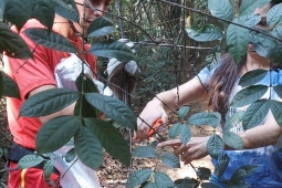 Catálogo da Flora no Centro de Treinamento Profissional (CTP)