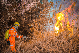 Divinópolis tem recorde de incêndios em vegetação em Minas Gerais